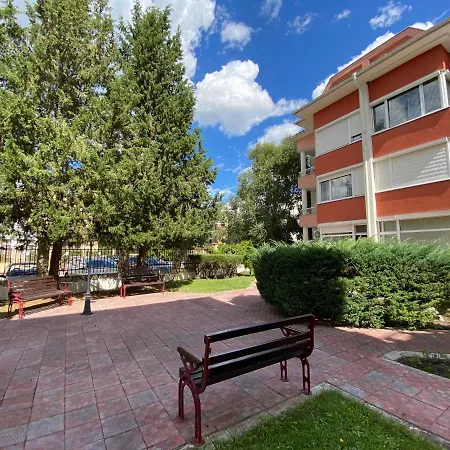 Gt Sunny סאני ביץ'