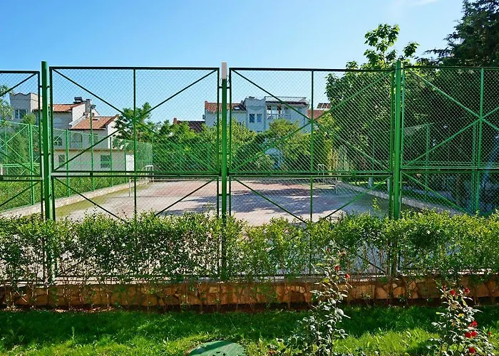 Gt Sunny סאני ביץ'